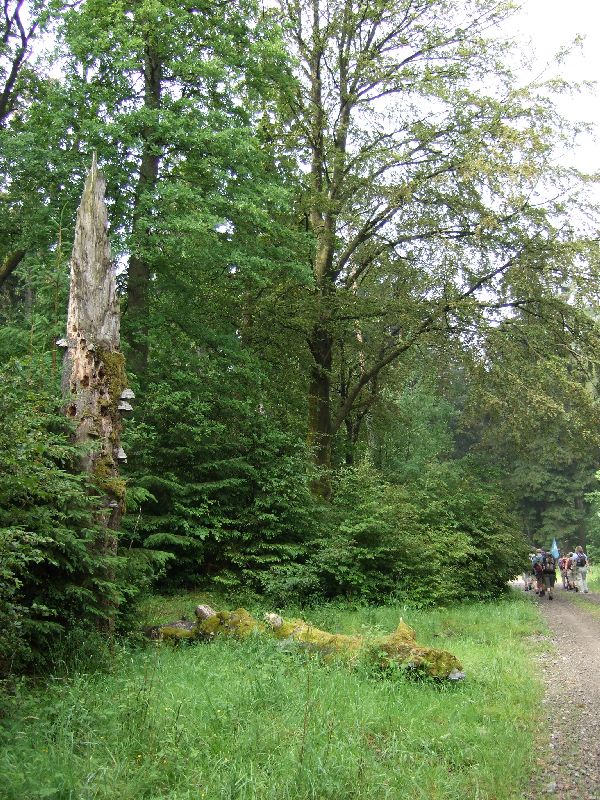 2011- 107.jpg